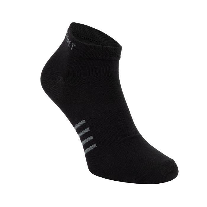 Low Ankle Thin Socks 3pack Black - Pitbull West Coast U.S.A. 
