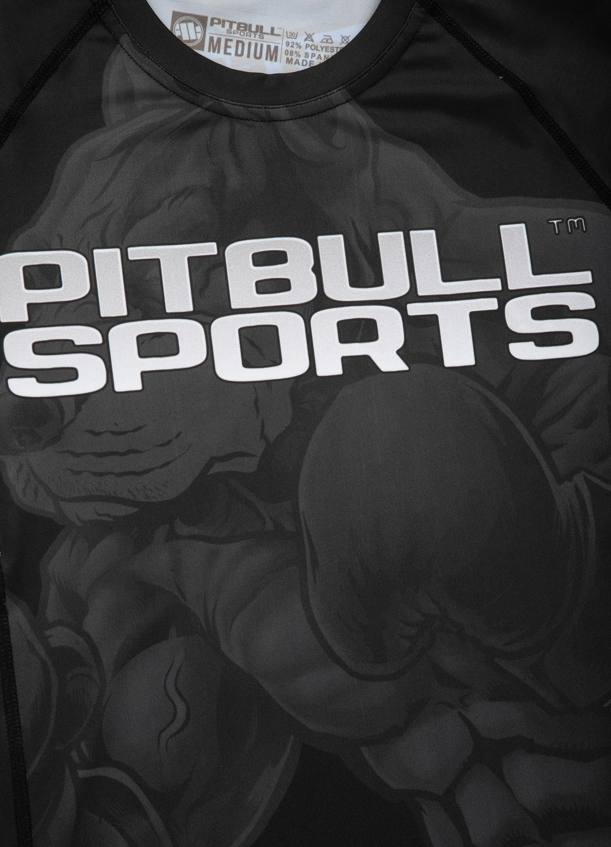 Longsleeve Rashguard Masters Of Boxing