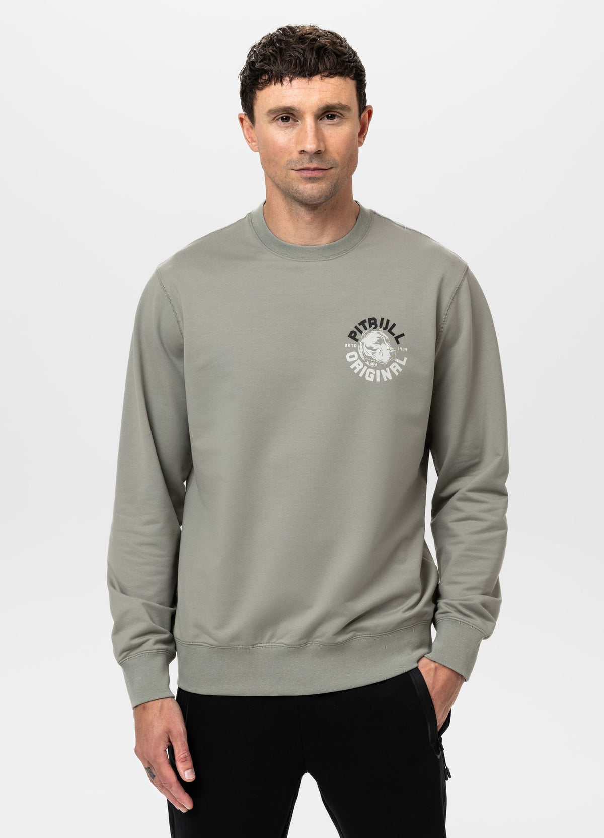 Men's Sweatshirt DOG SD - Dusty Salvia