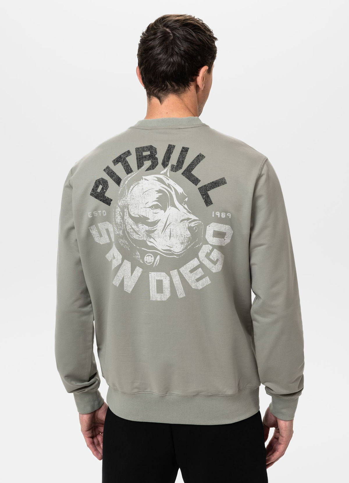 Men's Sweatshirt DOG SD - Dusty Salvia