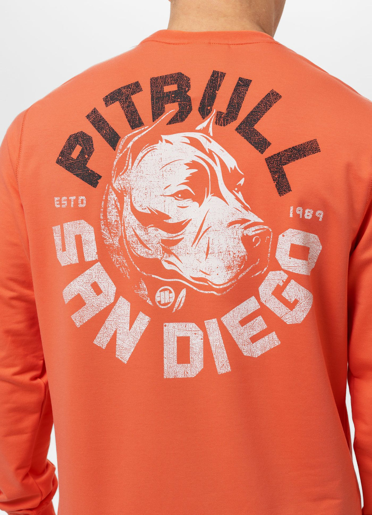Men's Sweatshirt DOG SD - Salmon