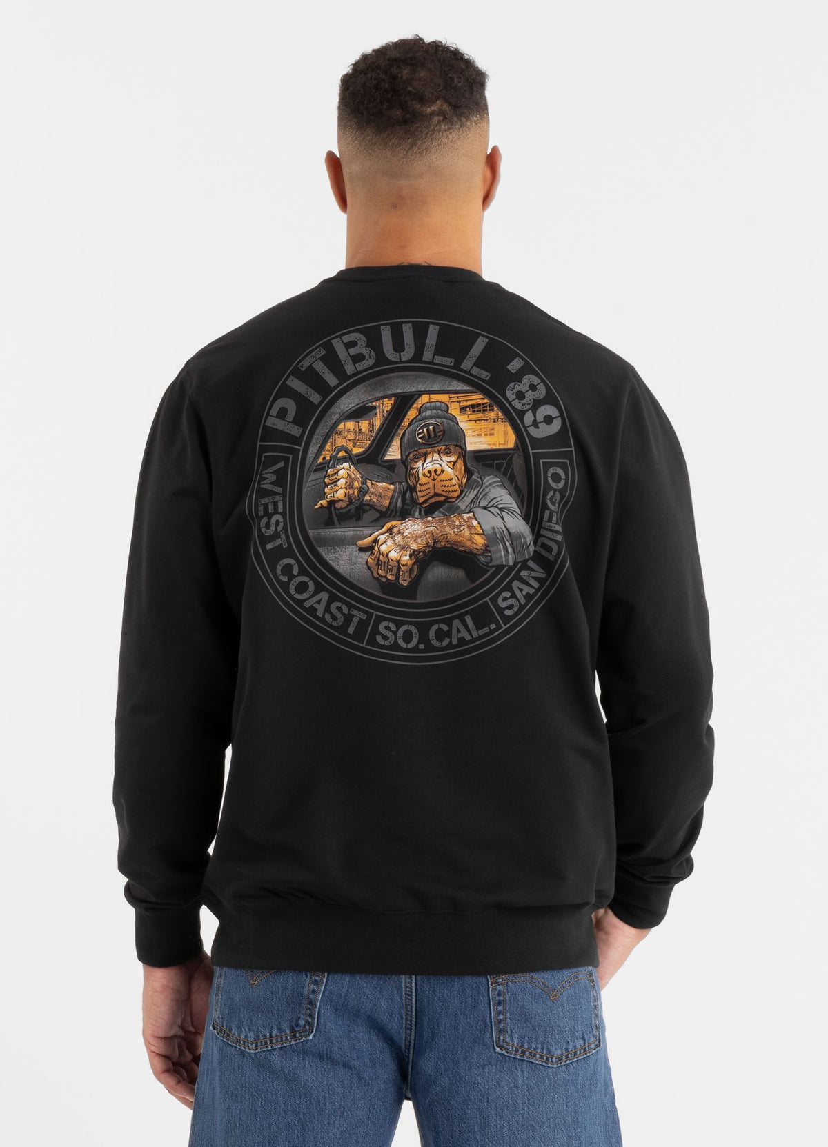 Men's Sweatshirt DRIVING - Black