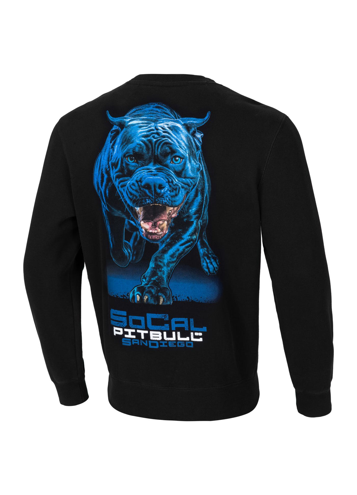 Men&#39;s Sweatshirt In Blue