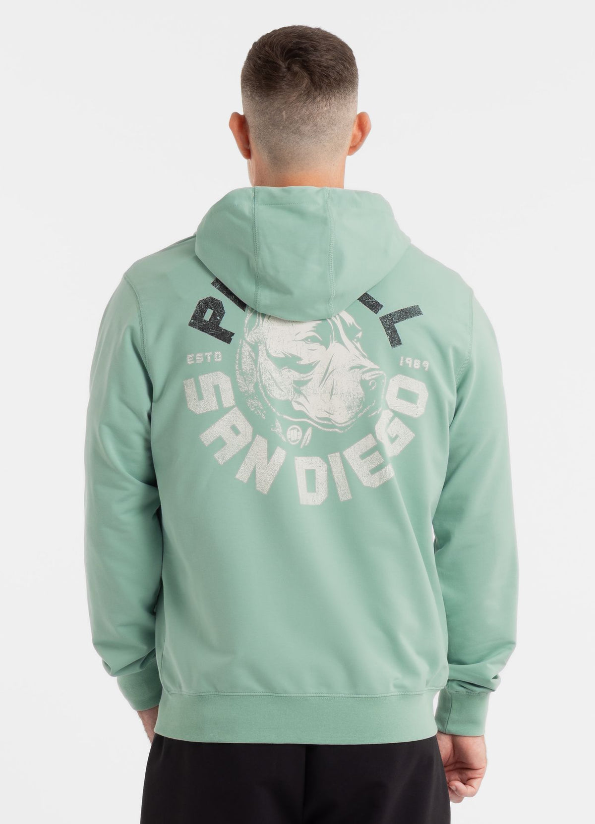 Men's Zip-up hoodie DOG SD - Mint