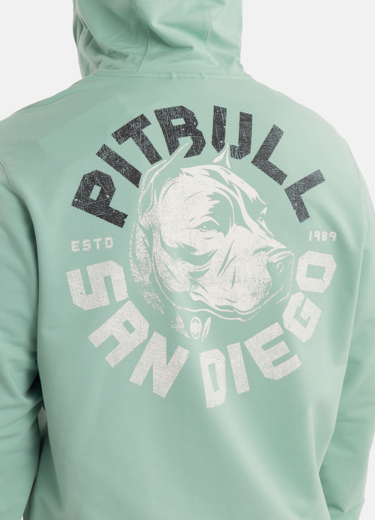 Men's Zip-up hoodie DOG SD - Mint