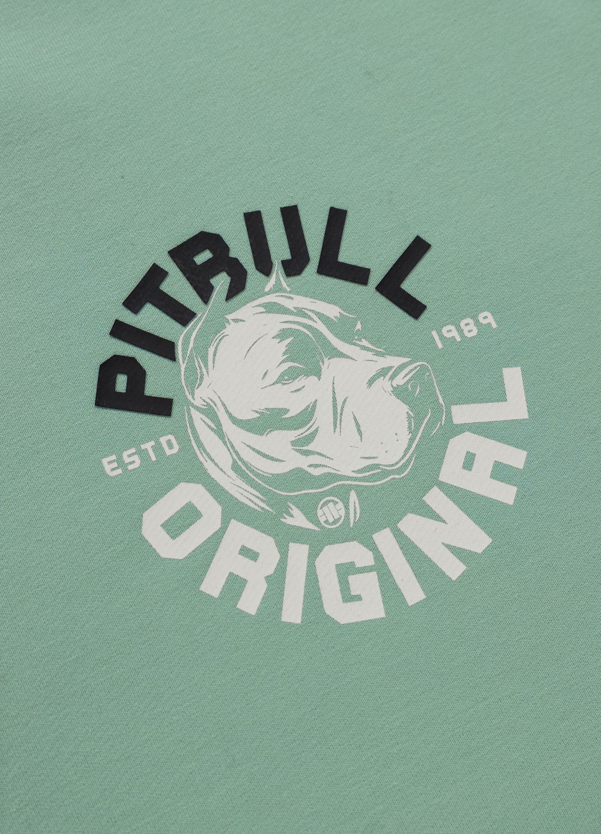 Men's Zip-up hoodie DOG SD - Mint