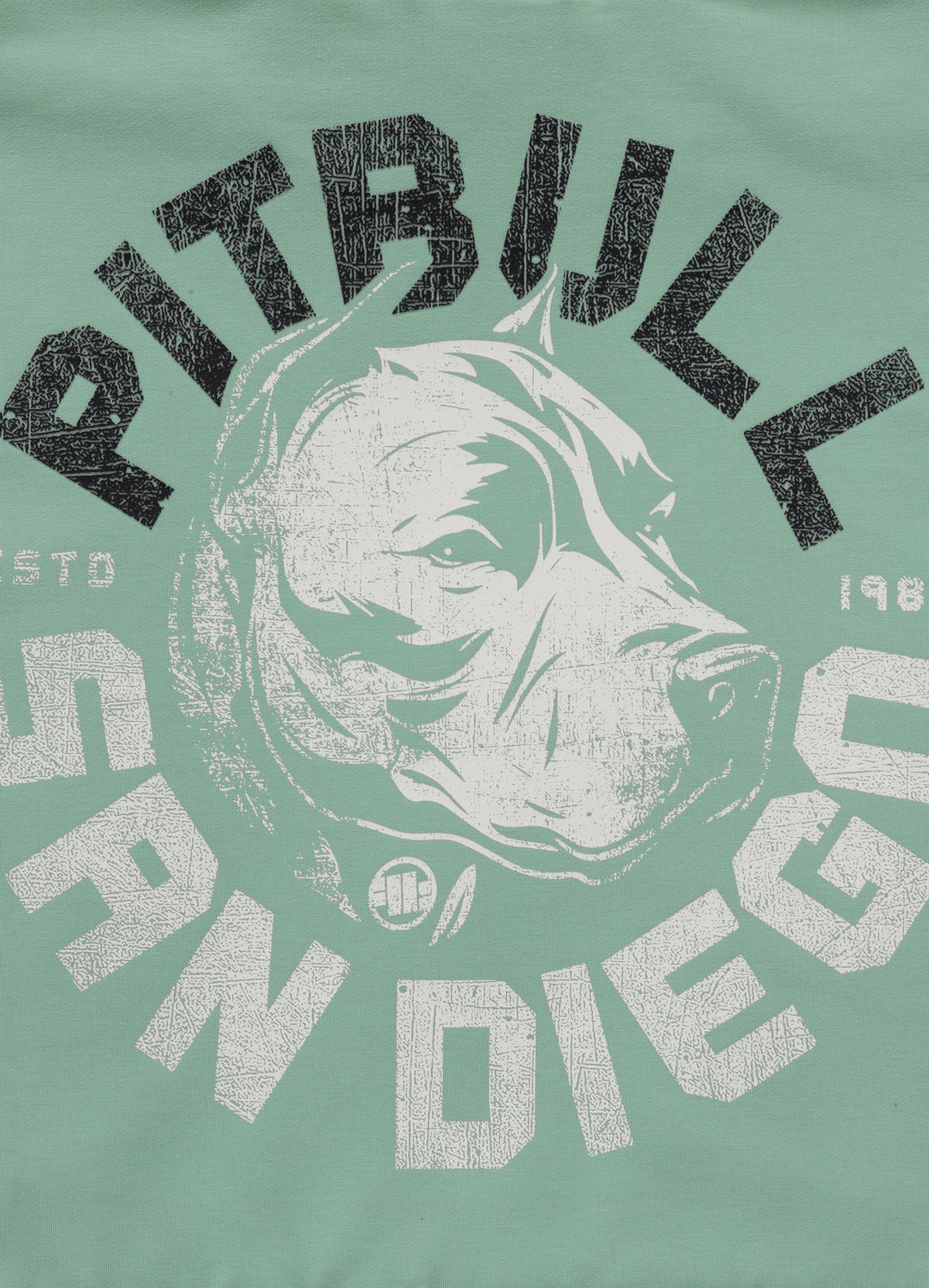 Men's Zip-up hoodie DOG SD - Mint