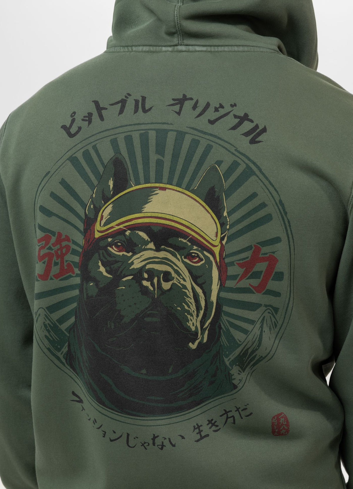 Men's Zip-up hoodie Washed MT FUJI