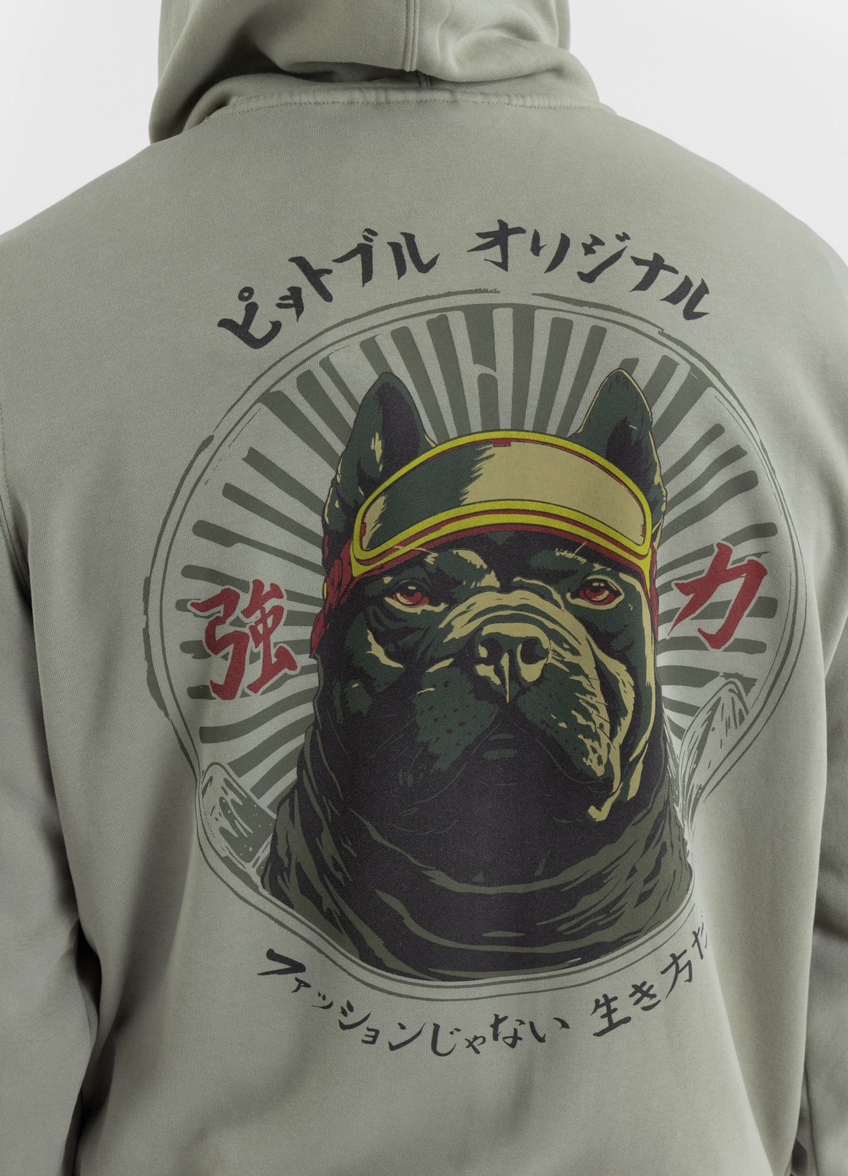 Men's Zip-up hoodie Washed MT FUJI