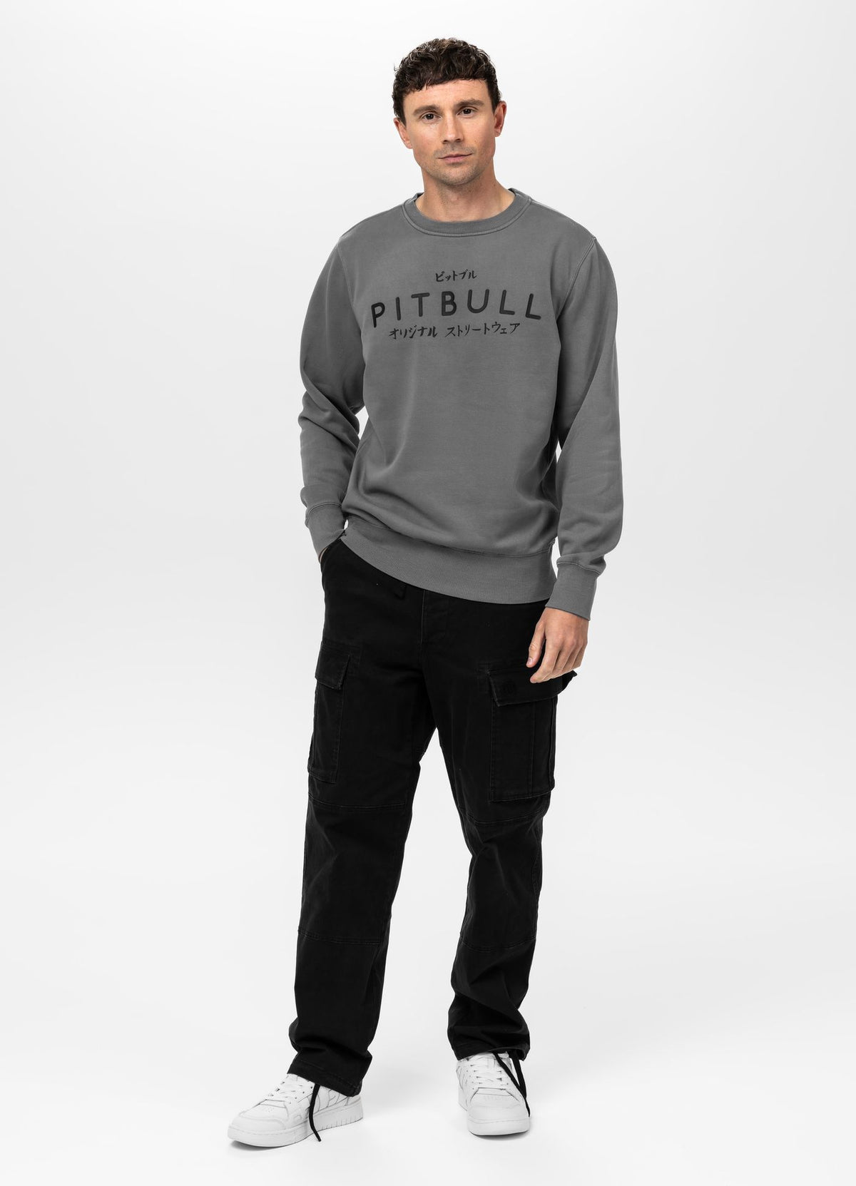 Men's Sweatshirt Washed MT FUJI