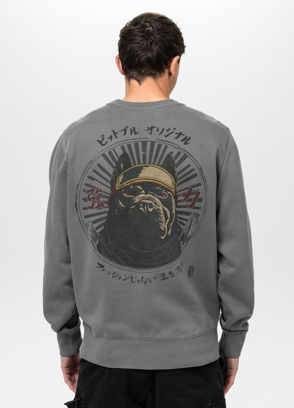 Men's Sweatshirt Washed MT FUJI