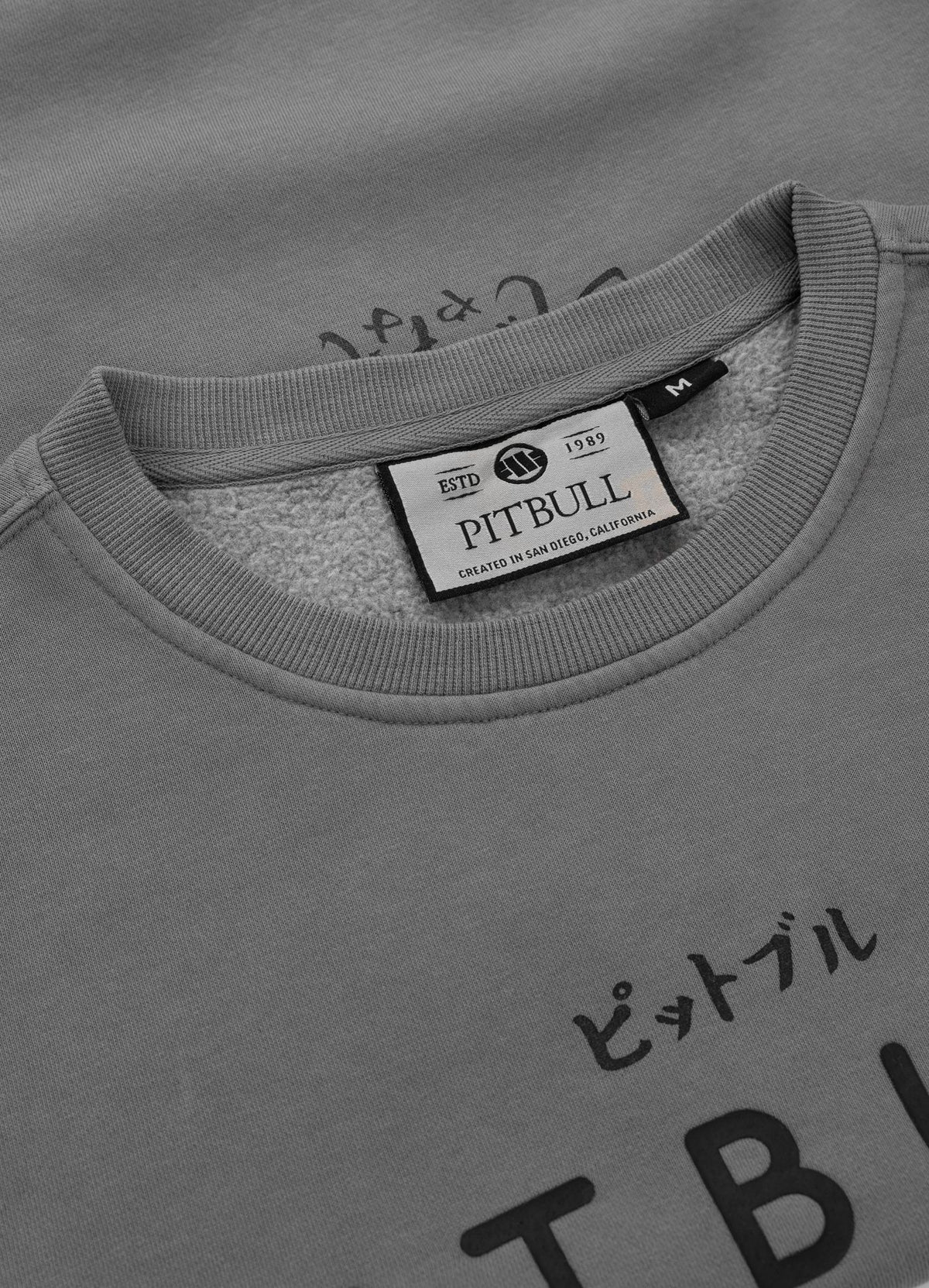 Men's Sweatshirt Washed MT FUJI