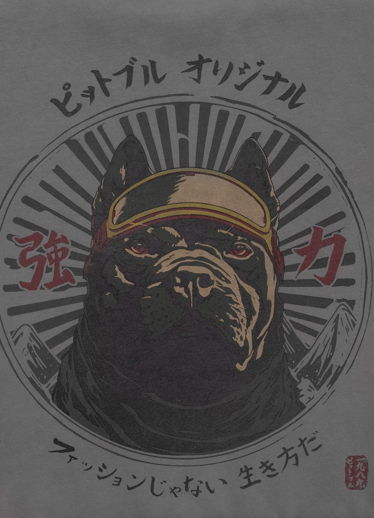 Men's Sweatshirt Washed MT FUJI