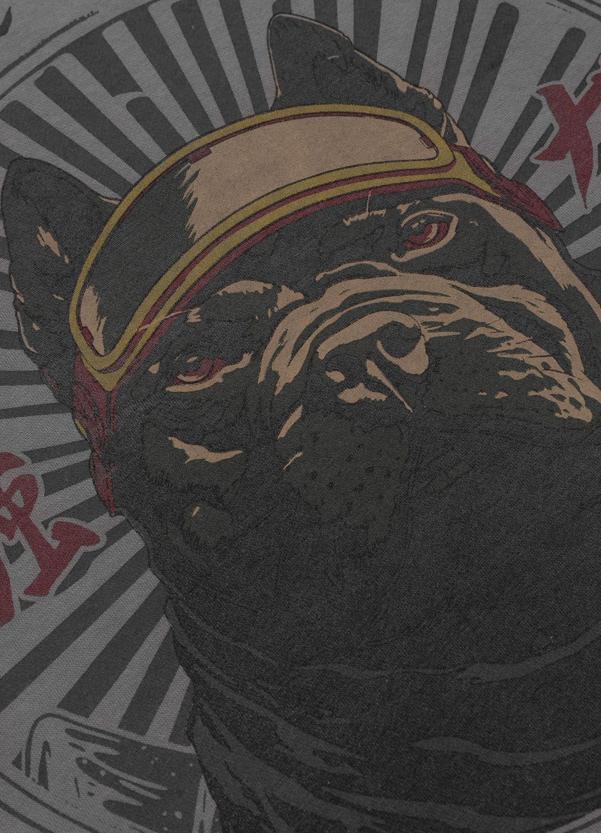 Men's Sweatshirt Washed MT FUJI