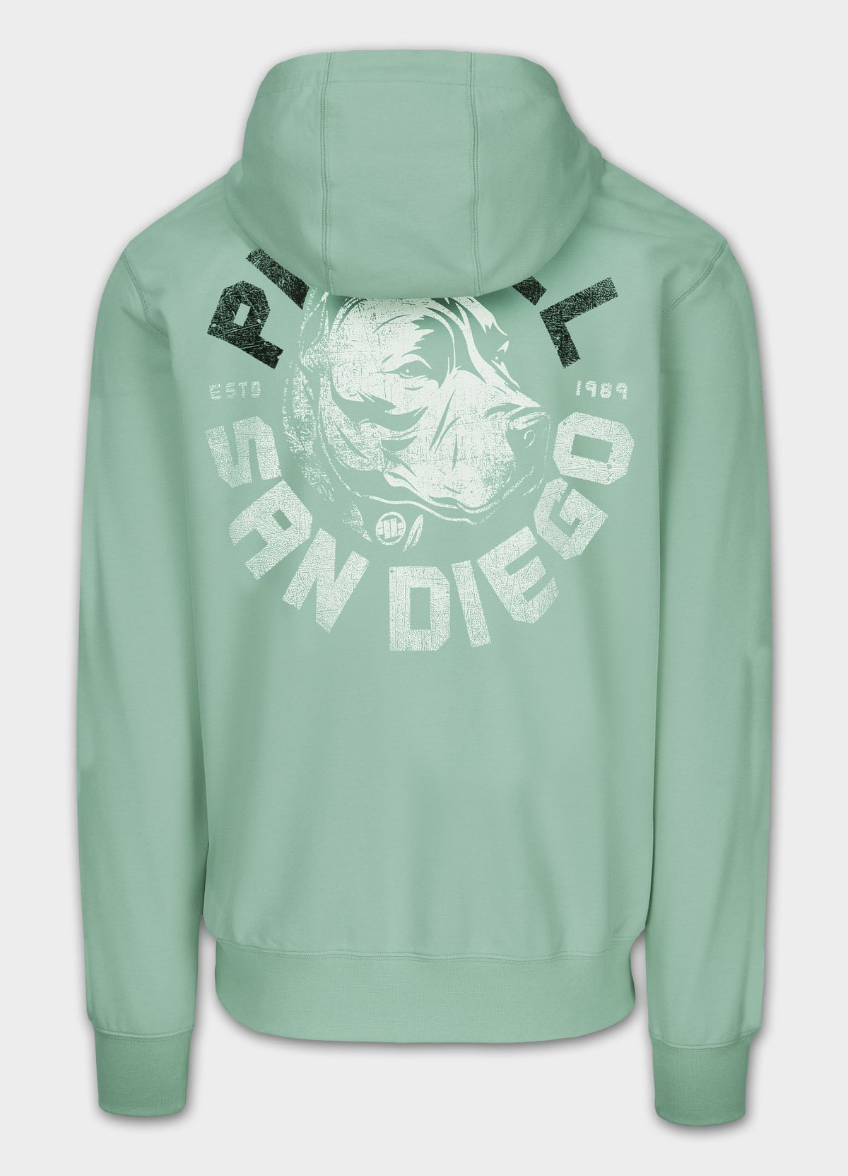 Men's Hoodie DOG SD - Mint