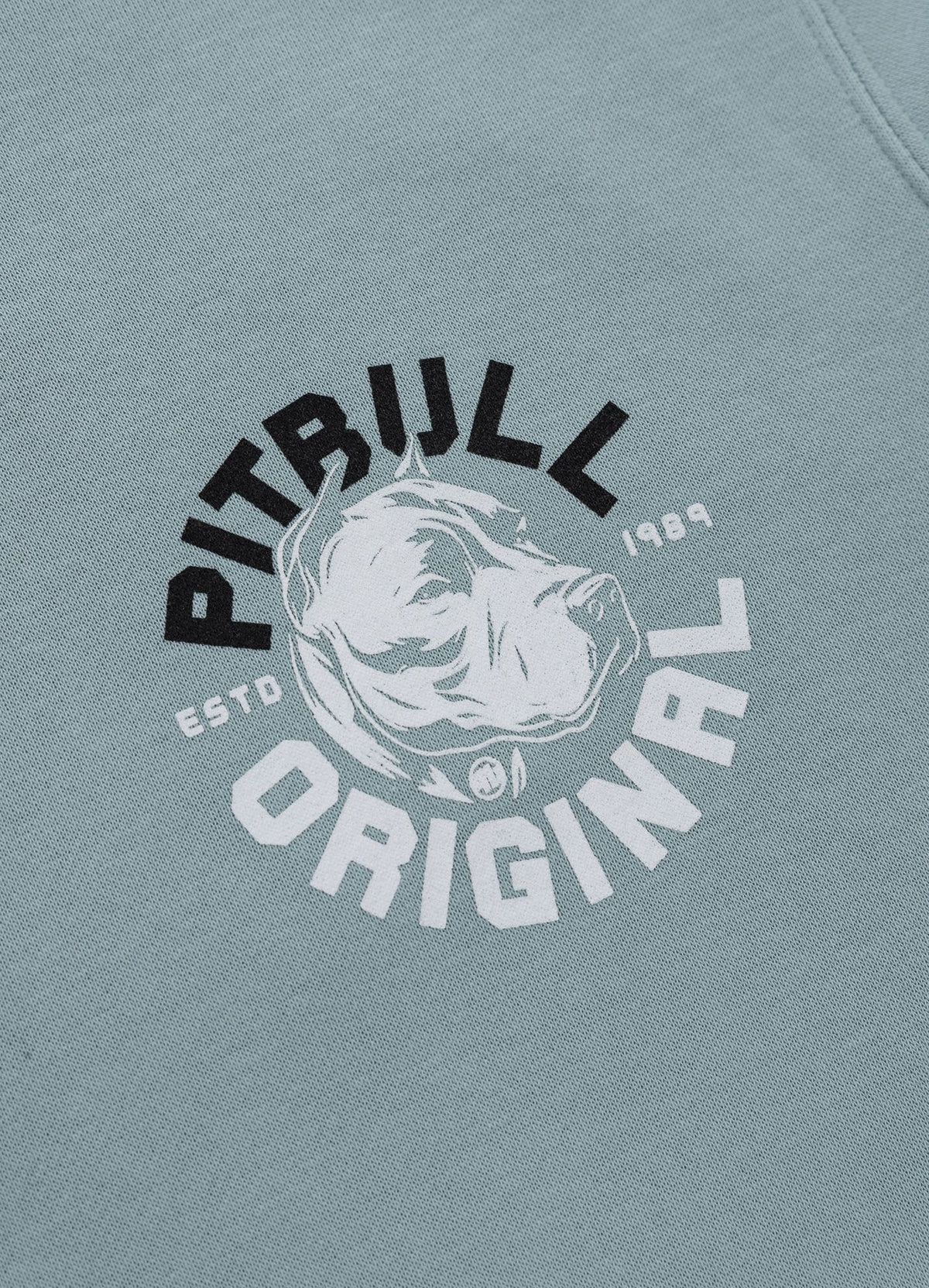 Men's Hoodie Washed DOG SD - Light blue