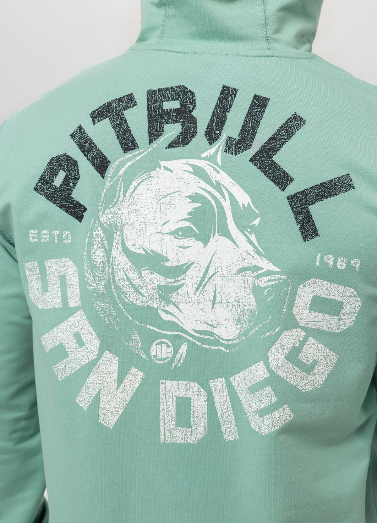 Men's Hoodie DOG SD - Mint