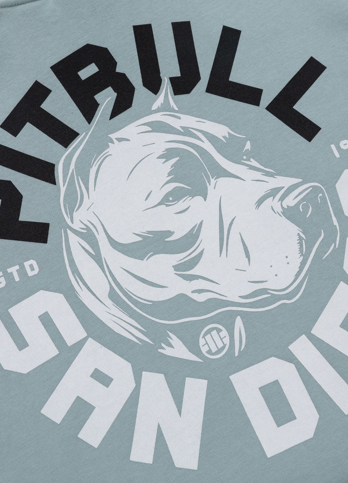 Men's Hoodie Washed DOG SD - Light blue