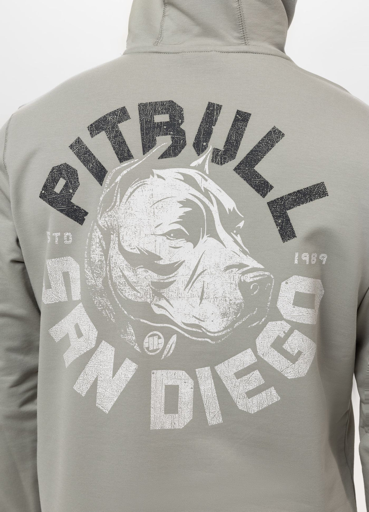 Men's Hoodie DOG SD - Dusty Salvia