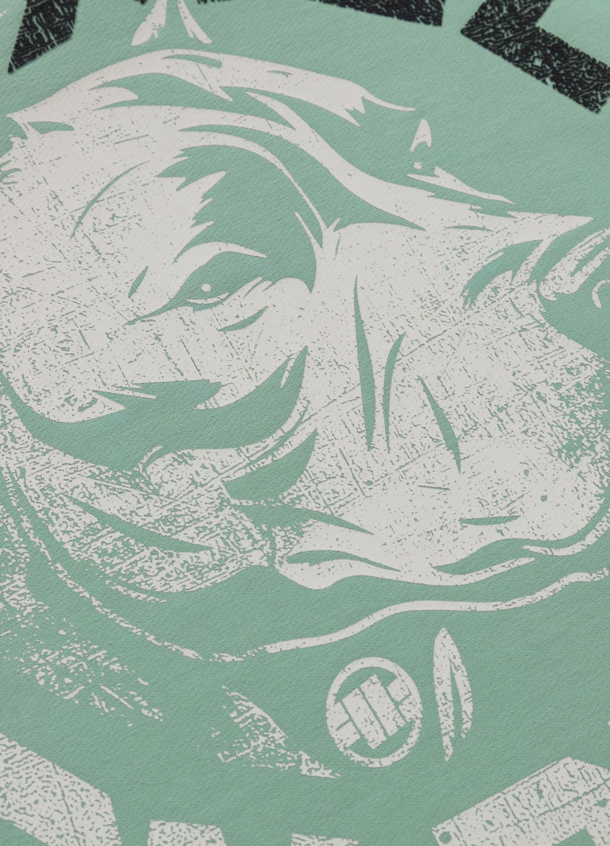 Men's Hoodie DOG SD - Mint