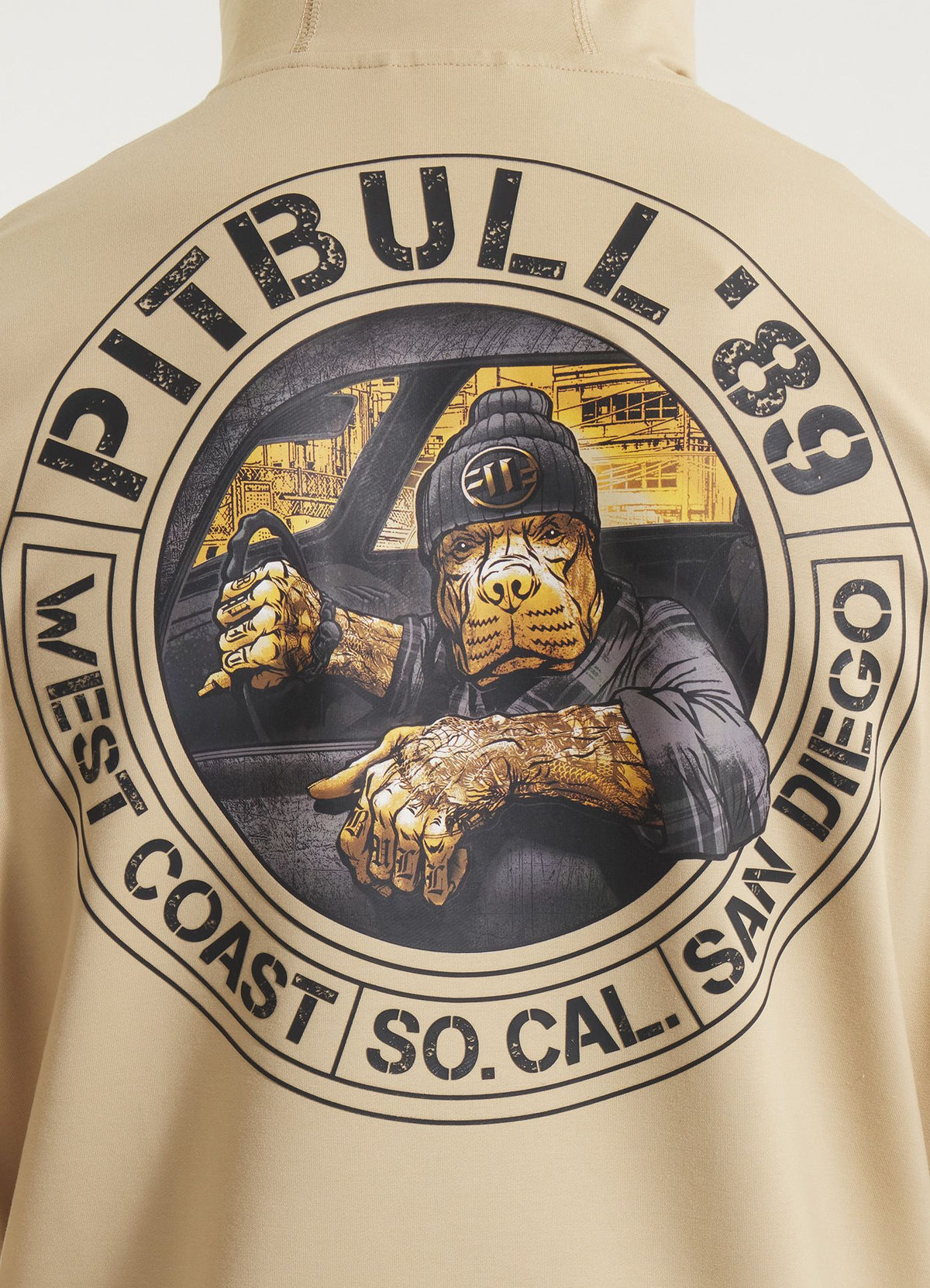 Men's Hoodie DRIVING