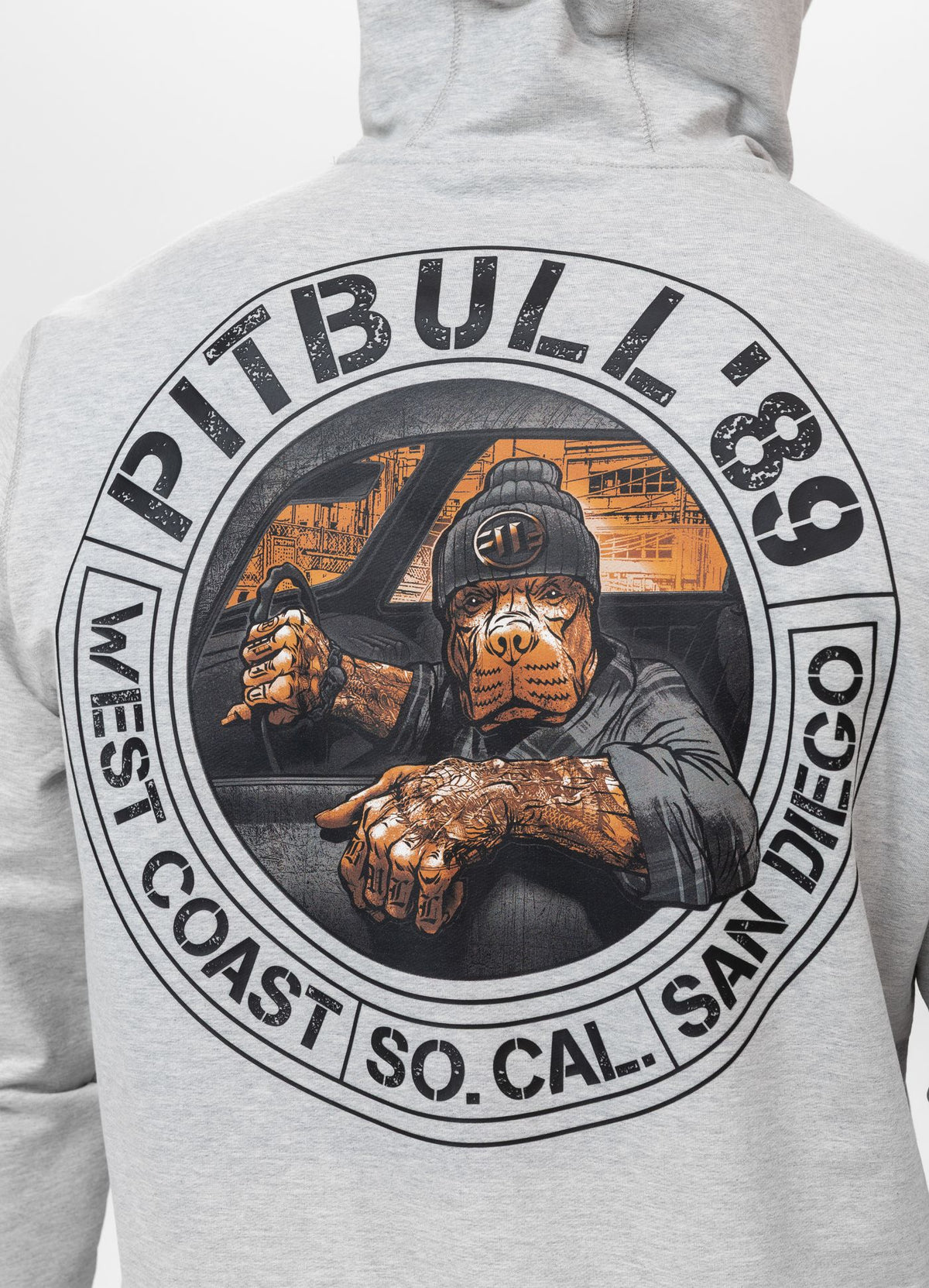 Men's Hoodie DRIVING