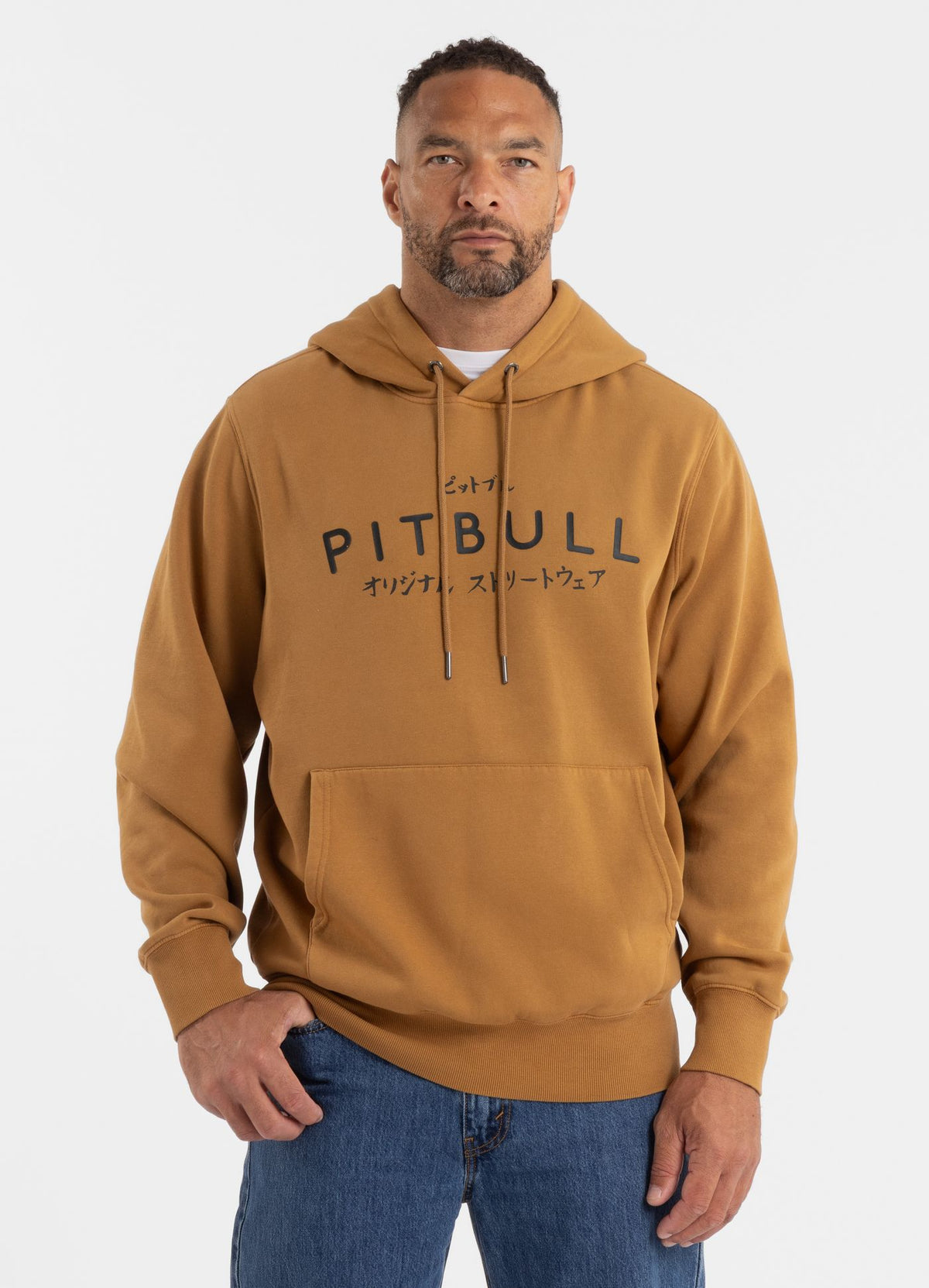 Men's Hoodie Washed MT FUJI