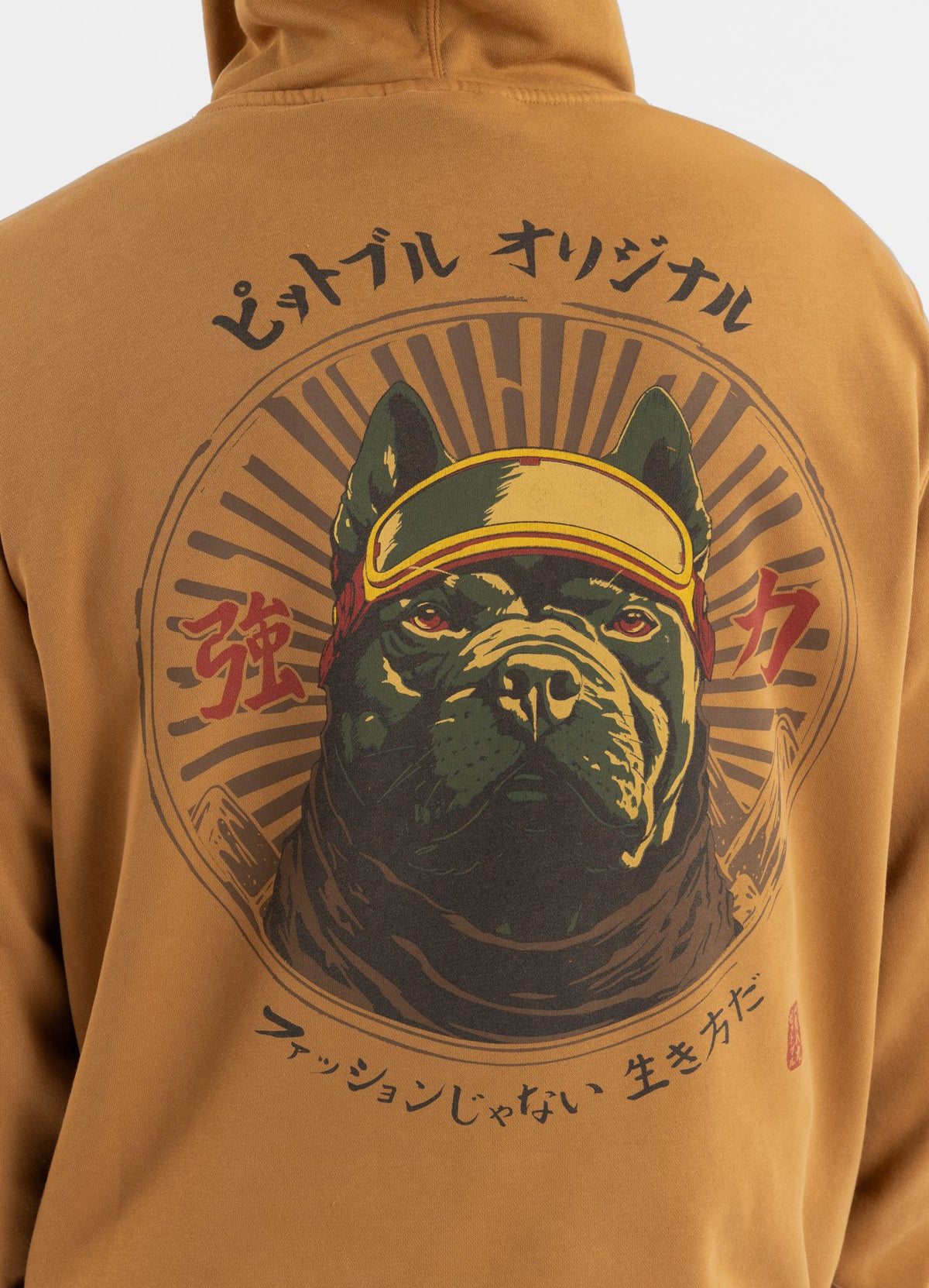 Men's Hoodie Washed MT FUJI