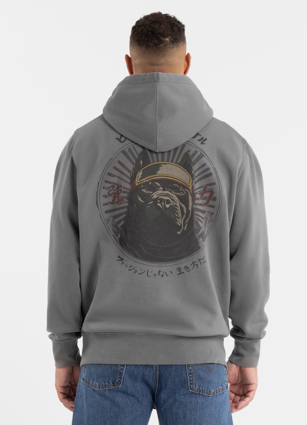 Men's Hoodie Washed MT FUJI