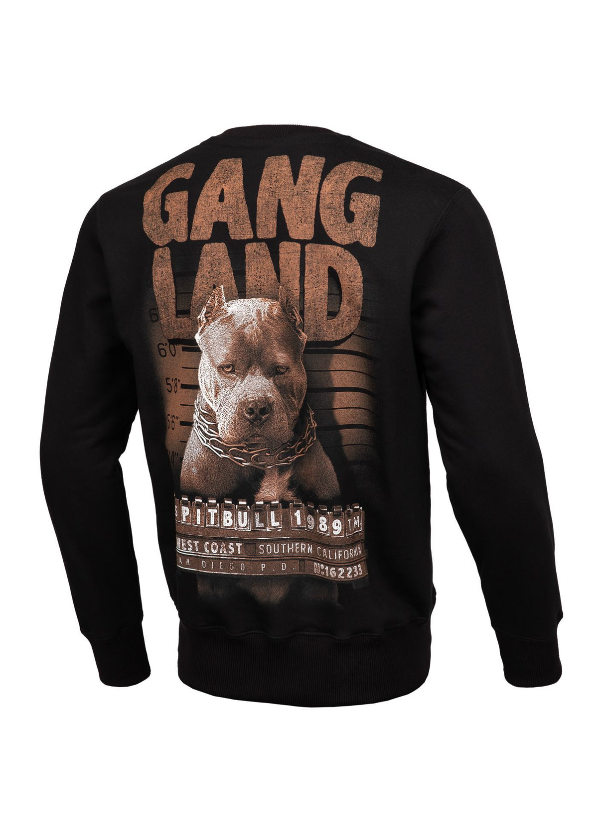 Sweatshirt Mugshot