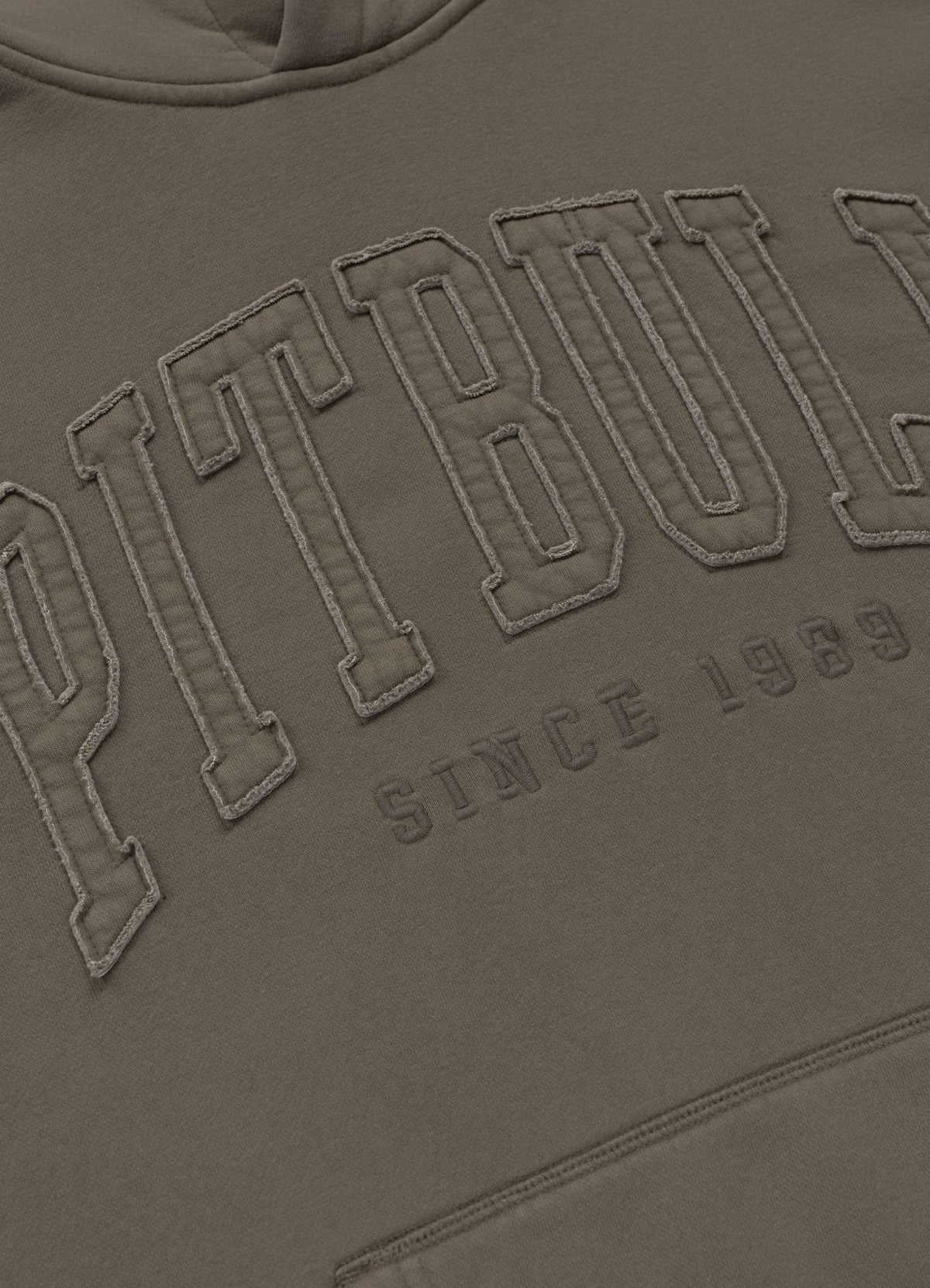 Hoodie Washed ORLANDO