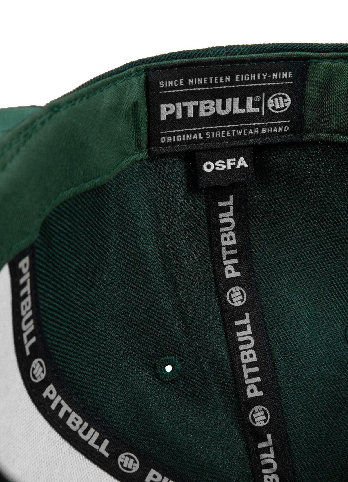 Snapback PITBULL