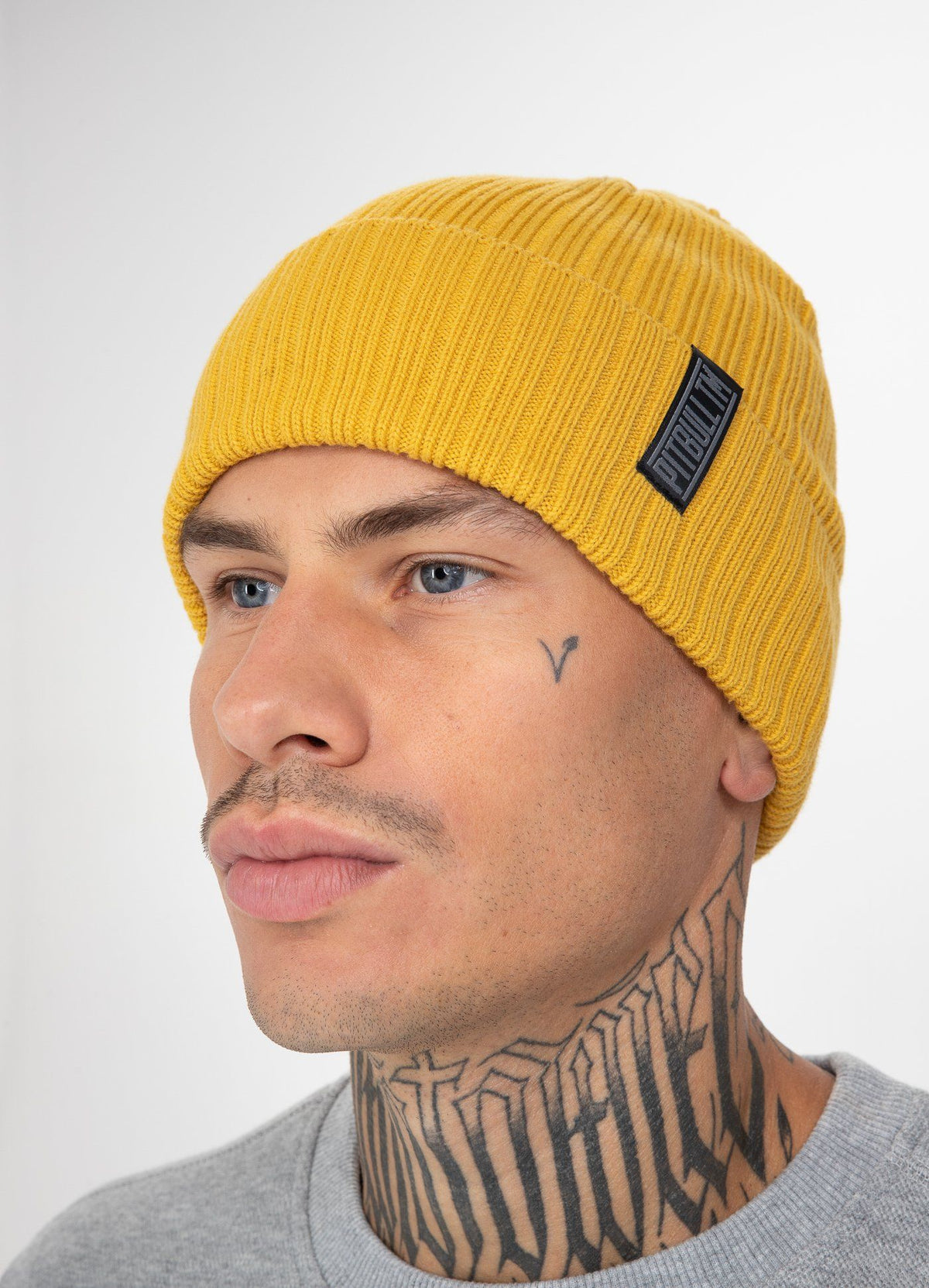 Winter beanie Silvas Pitbull TM