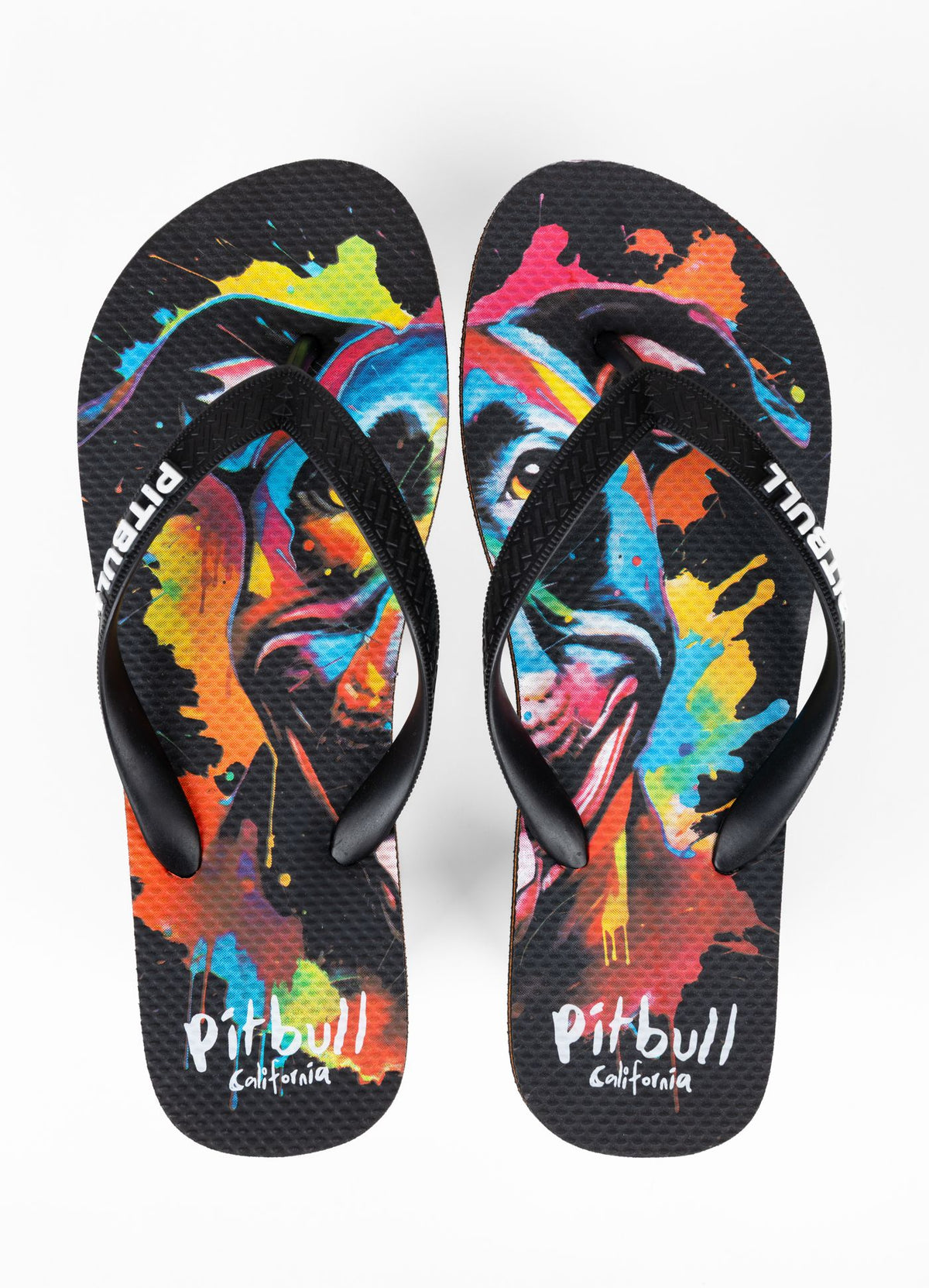 Flip-Flops WATER COLOR DOG