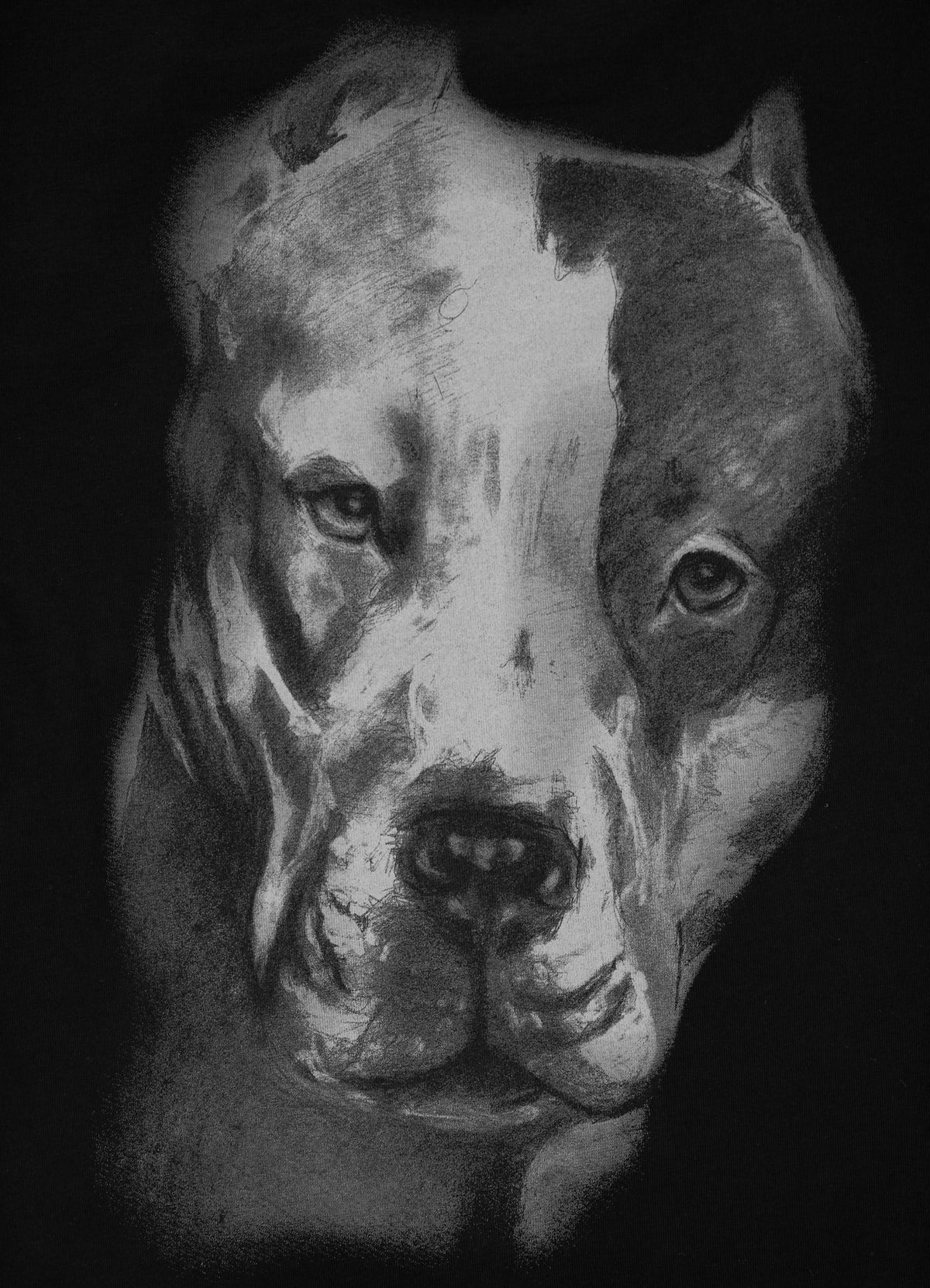 Women&#39;s T-Shirt San Diego II