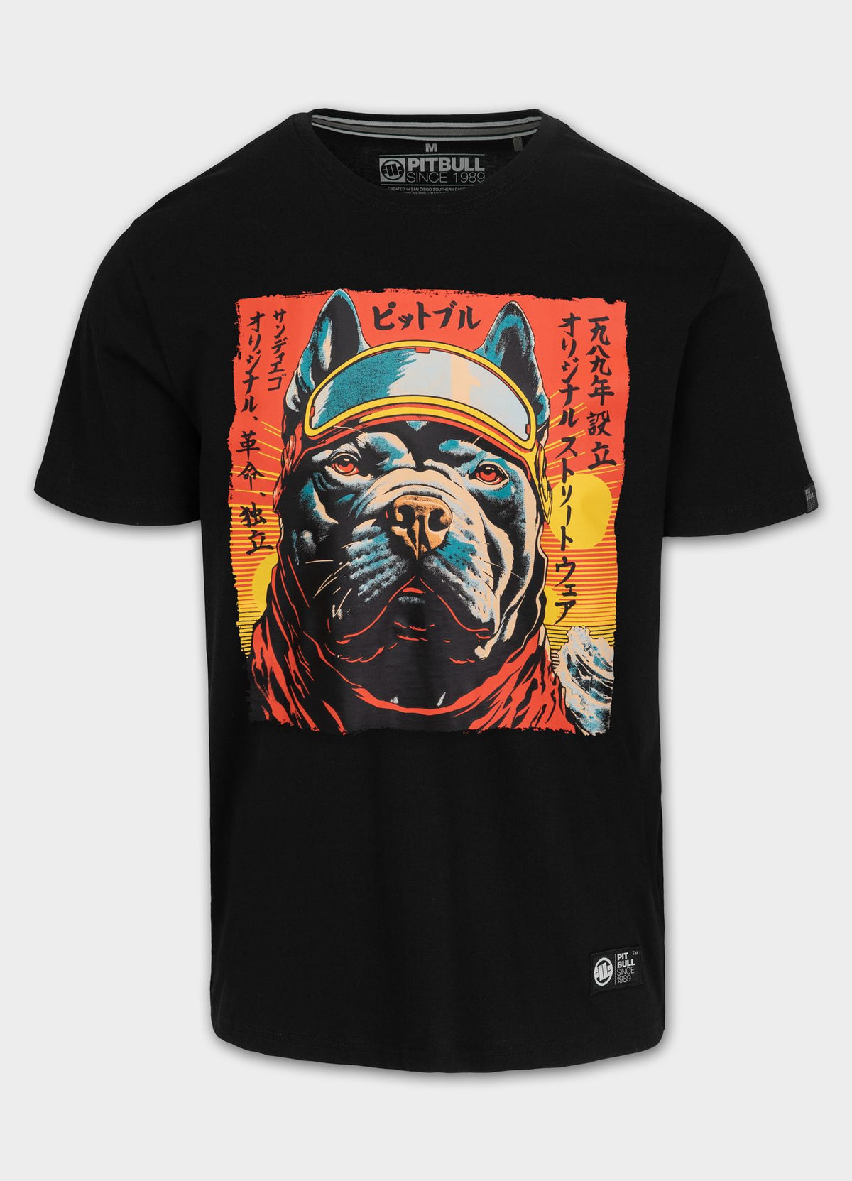Men&#39;s T-Shirt FUJI - Black