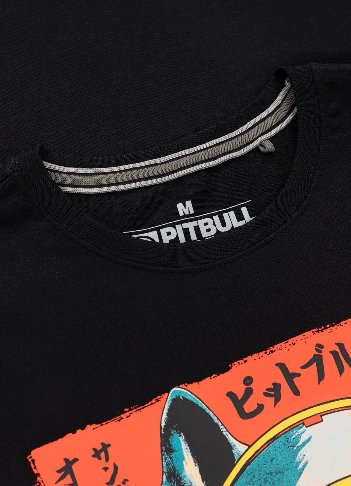 Men&#39;s T-Shirt FUJI - Black