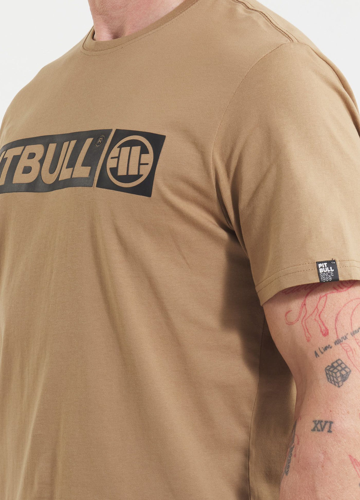 Men's T-Shirt HILLTOP - Coyote brown