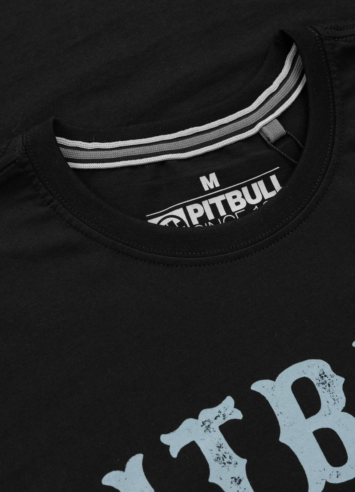 Men&#39;s T-Shirt STRENGTH &amp; RESPECT