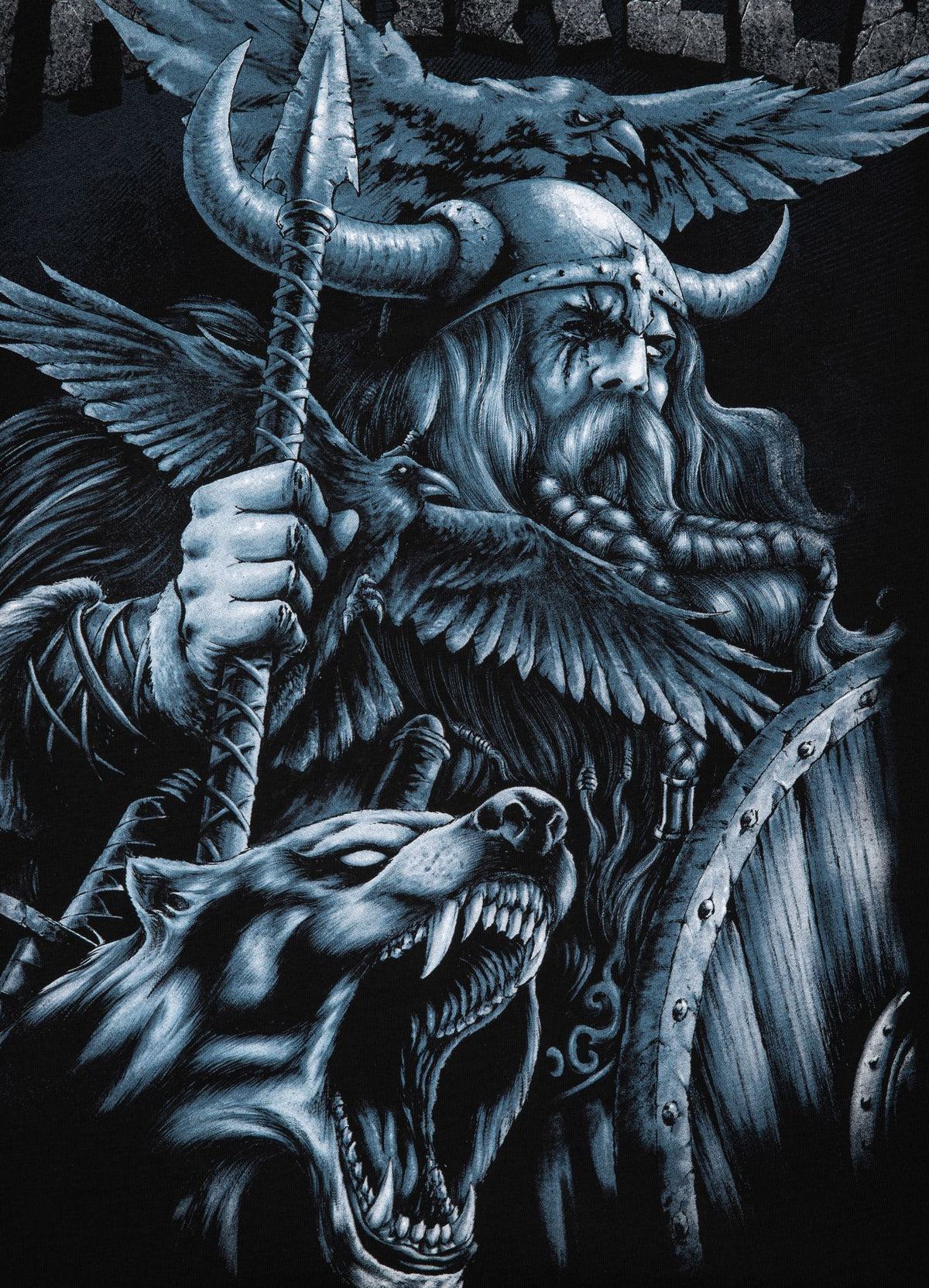 T-Shirt Odin