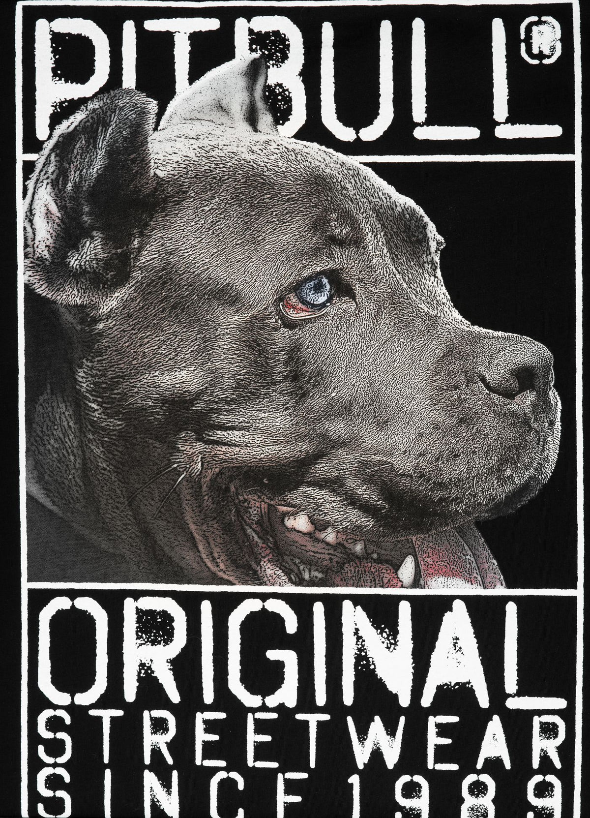 T-Shirt Origin