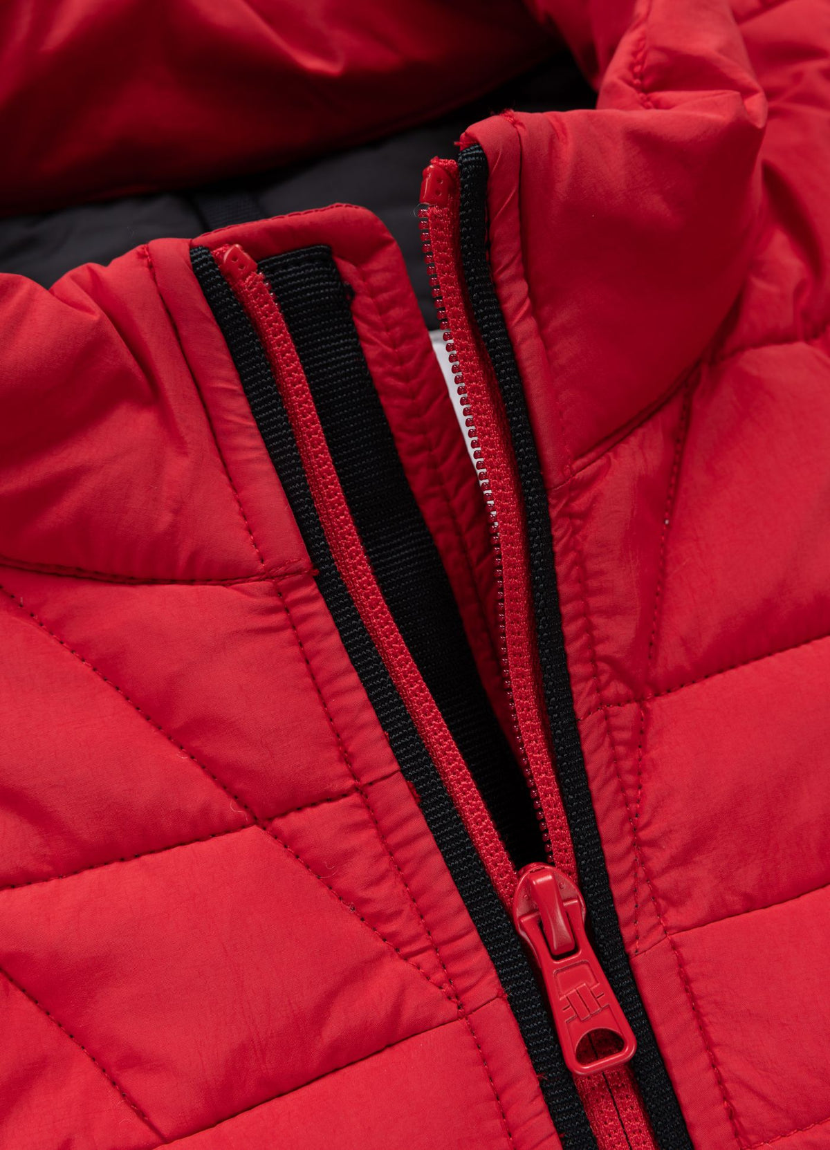 Quilted transitional jacket NAYLOR