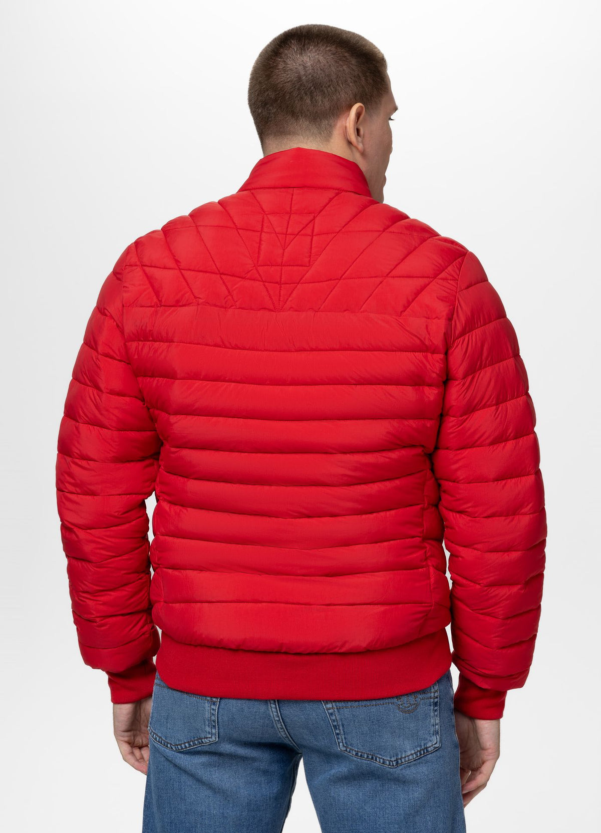 Quilted transitional jacket NAYLOR