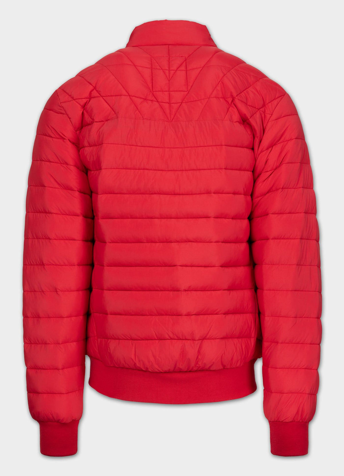 Quilted transitional jacket NAYLOR
