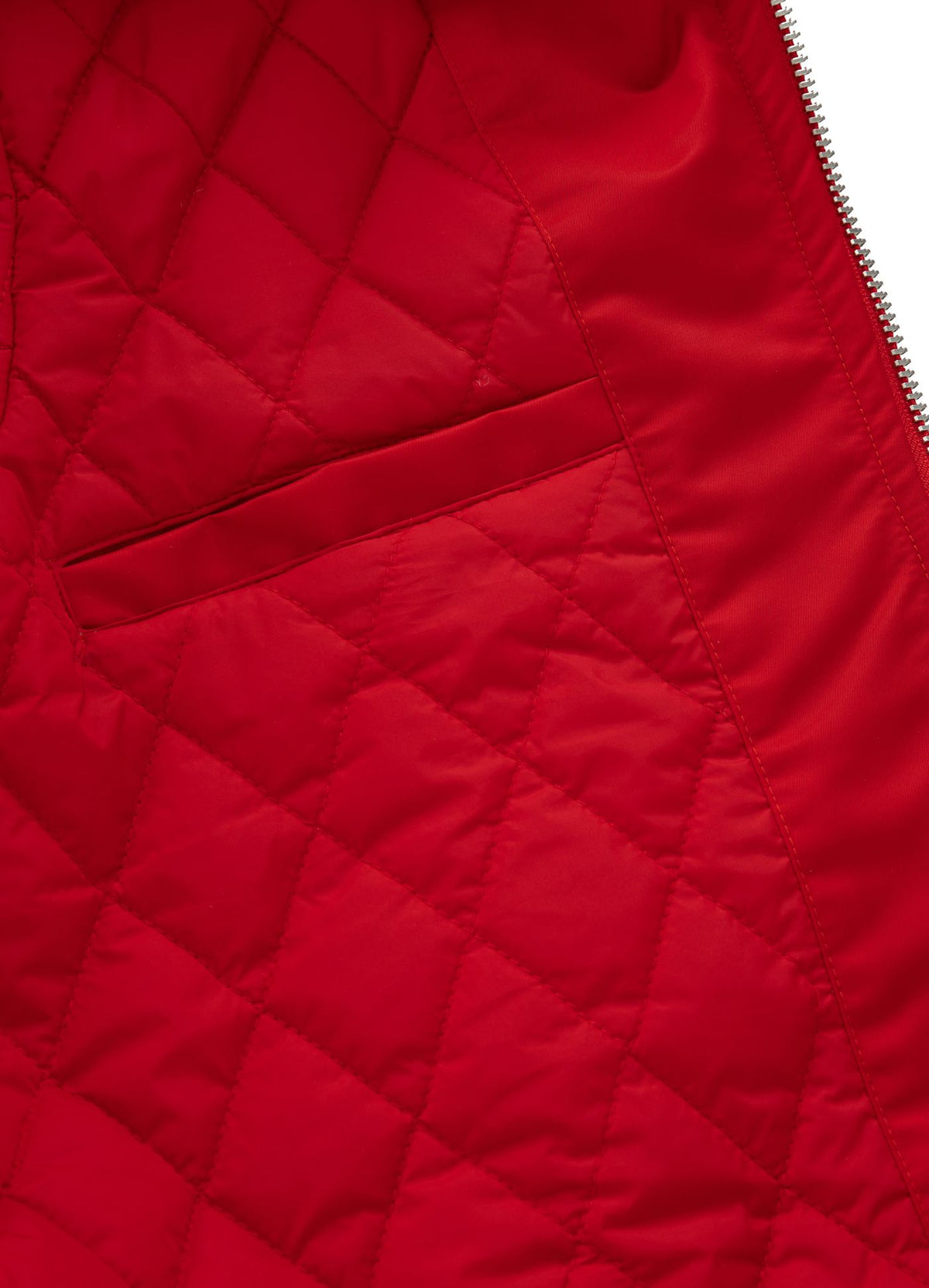 Men&#39;s transitional jacket Silverwing