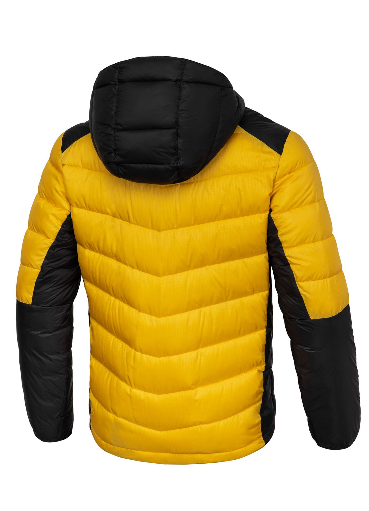 Men&#39;s winter jacket Evergold