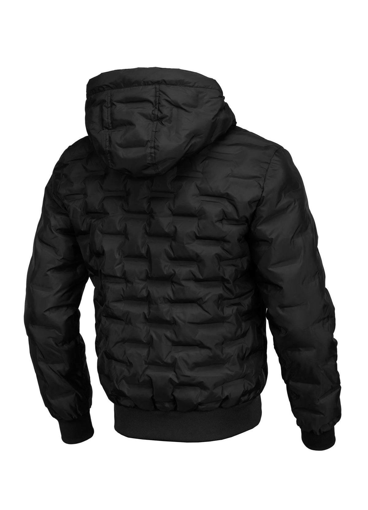Men&#39;s winter hooded jacket Carver