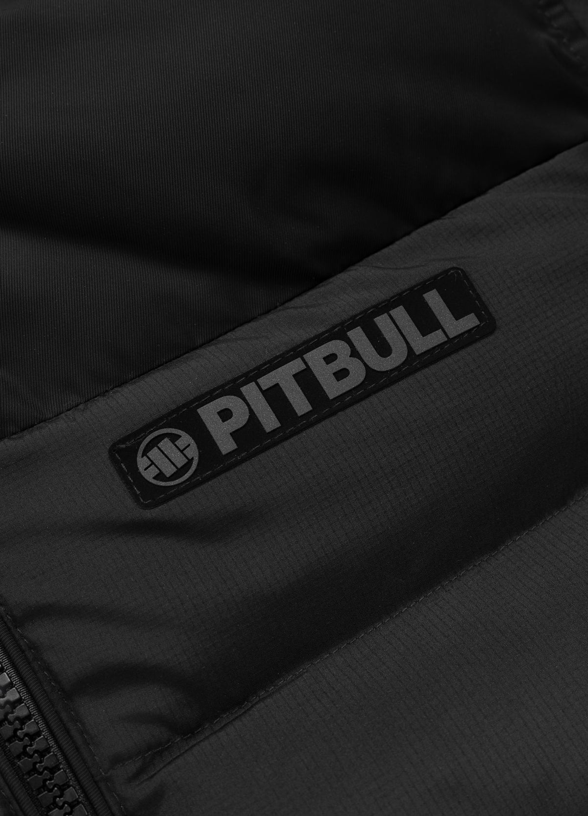 Quilted winter jacket with hood DILLON