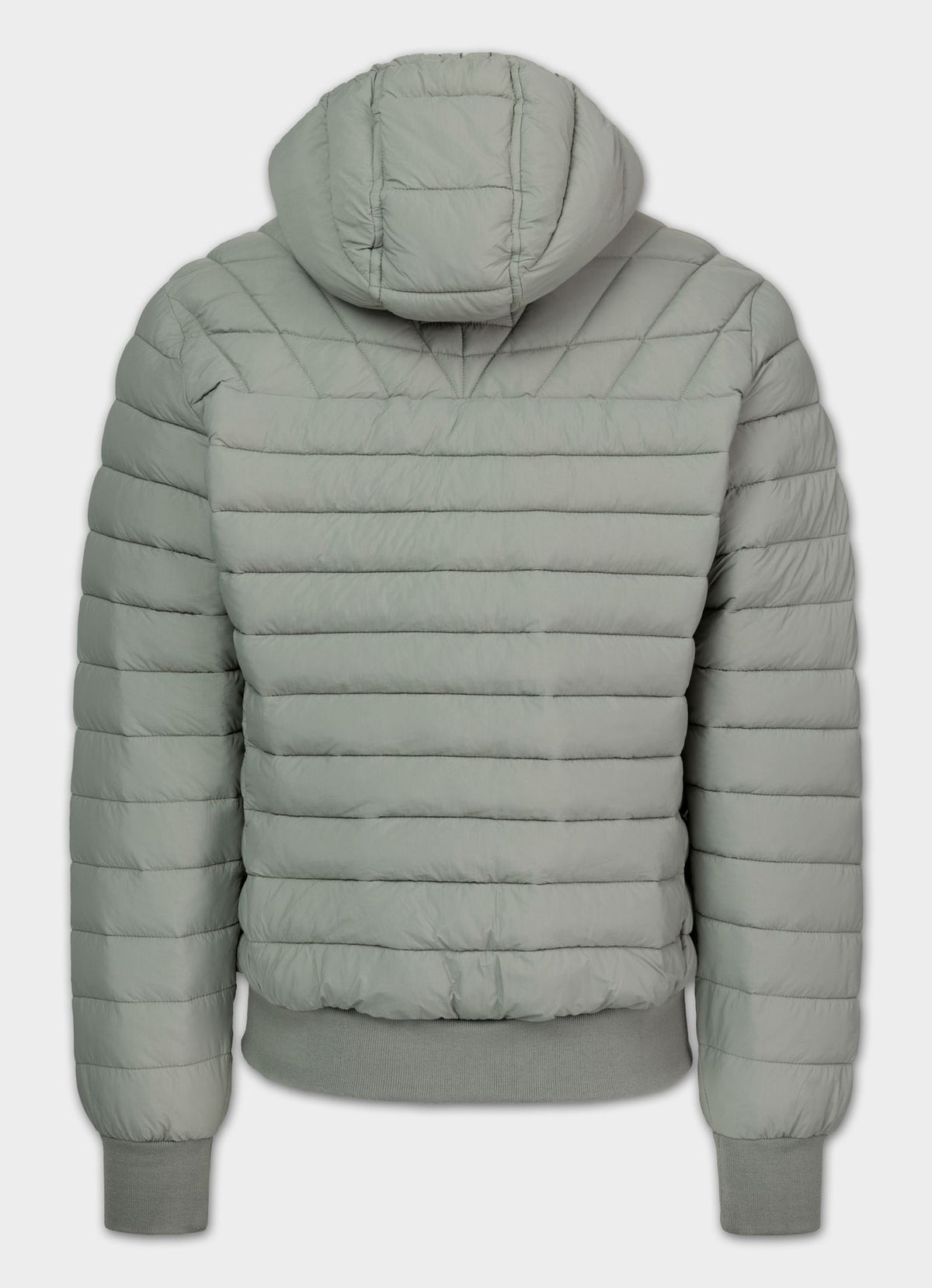 Quilted winter jacket with hood NAYLOR