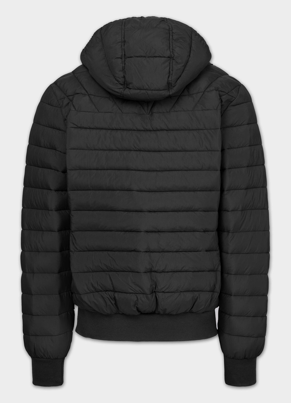 Quilted winter jacket with hood NAYLOR